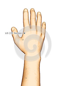 Drawing Acupuncture Point LI3 Sanjian, 3D Illustration