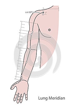 Drawing Acupuncture Point LU2 Yunmen, 3D Illustration