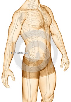 Drawing Acupuncture Point LU6 Kongzui, 3D Illustration