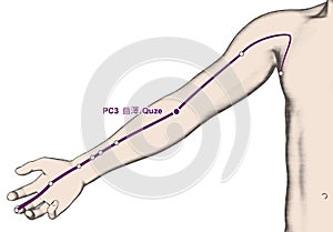 Drawing Acupuncture Point PC3 Quze, 3D Illustration
