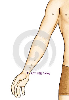 Drawing Acupuncture Point PC7 Daling, 3D Illustration