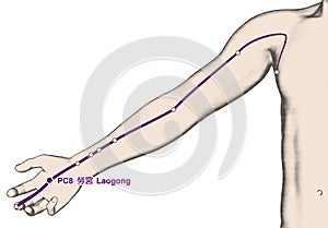 Drawing Acupuncture Point PC8 Laogong, 3D Illustration