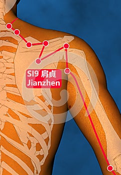 Drawing Acupuncture Point SI9 Jianzhen, 3D Illustration, Blue Background