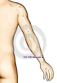 Drawing Acupuncture Point TE5 Waiguan, 3D Illustration
