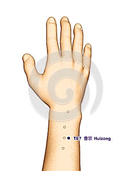 Drawing Acupuncture Point TE7 Huizong, 3D Illustration