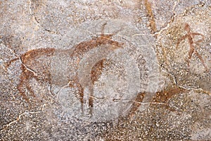 Drawing of ancient animals on the wall of the cave.