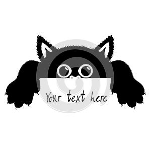 Drawing angry kitten vector illustration