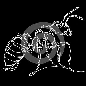 A drawing of an Ant with a long body and a long antennae on a black background.