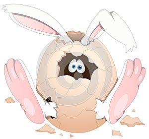 Easter Bunny - Cartoon Character - Vector Illustration