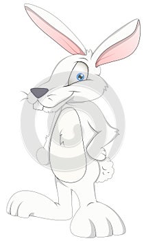 Bunny - Cartoon Character - Vector Illustration