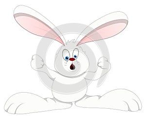 Bunny - Cartoon Character- Vector Illustration