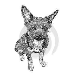 Drawing of black dog sitting on white background.