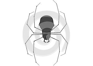 Drawing of Black Widow Spider with a white background