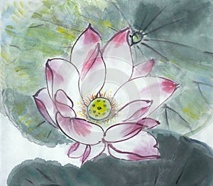 Drawing of a blossoming lotus