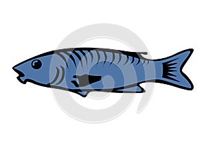 Drawing of Blue Fish with a white background photo