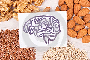 Drawing of brain and healthy food for power and good memory, nutritious eating containing vitamins and minerals