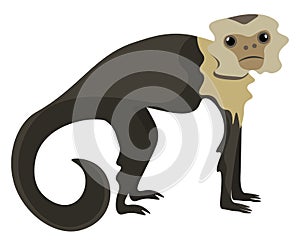 Drawing of a brown capuchin monkey set on isolated white background viewed from the side vector or color illustration