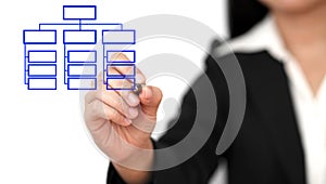 Drawing business organization chart