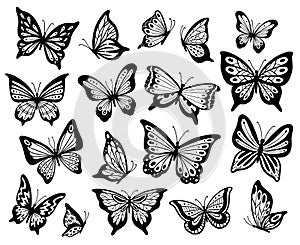 Drawing butterflies. Stencil butterfly, moth wings and flying insects isolated vector illustration set