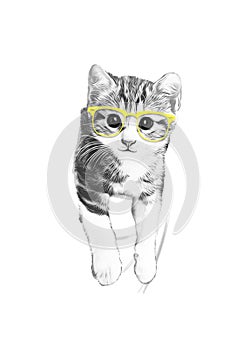 Drawing of cat with glasses