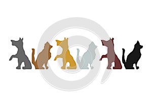 Drawing of Cats e Dogs white background photo
