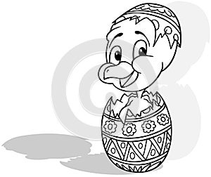 Drawing of a Chick in an Easter Egg