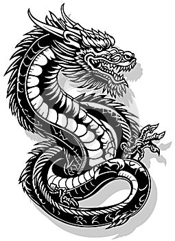 Drawing of a Chinese Dragon