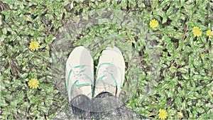 Drawing color of foot on green grass and flower