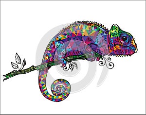 Drawing of a colorful chameleon