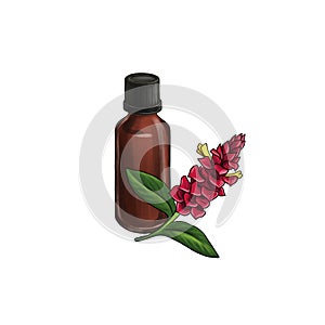 drawing costus root essential oil