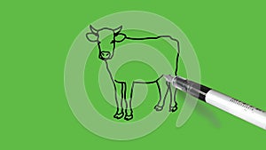 Drawing a cow in black, white,pink and grey colour combination on abstract green background