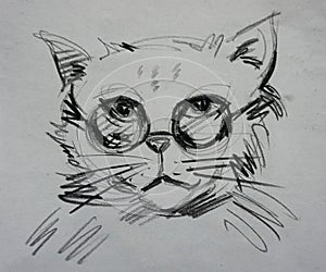 drawing cute cat , Funny cat , Cute cat