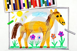 Drawing: cute smiling horse in the pasture