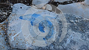 Drawing of a dolphin on a stone by the sea