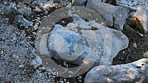 Drawing of a dolphin on a stone by the sea photo