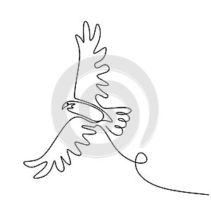 drawing eagle bird flying continuous one line vector illustration minimalism design