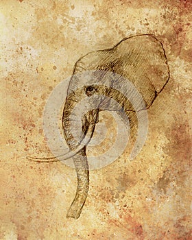 Drawing of an elephant, profile drawing with lines and shades.
