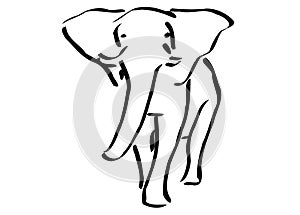 Drawing of Elephante with white background
