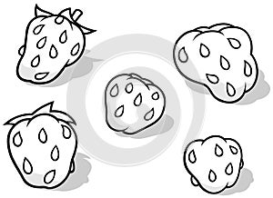 Drawing of Five Strawberries with Seeds