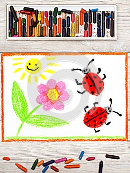 Drawing: flower, sun and ladybugs on white paper background