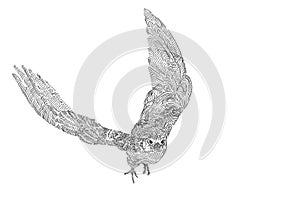 Drawing of Flying Amur falcon bird isolated on white background
