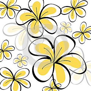 Drawing Frangipani background