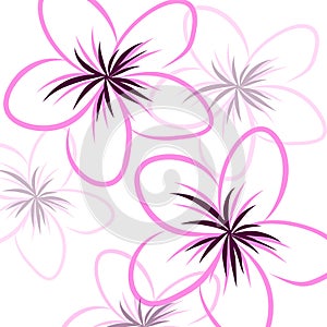 Drawing Frangipani background