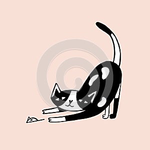 Drawing of funny cat hunting and catching mouse or playing with it. Playful pet animal. Cute cartoon character hand