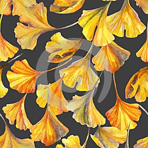 Drawing of ginkgo leaf, water color paper textures. Floral background for fall design.