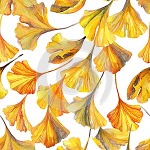 Drawing of ginkgo leaf, water color paper textures. Floral background for fall design.