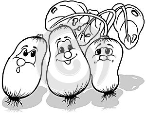 Drawing of a Group of Radishes with Funny Faces