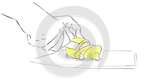 Drawing: hands close up slicing lemon slices