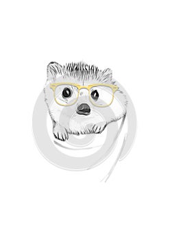 Drawing of hedgehog with yellow glasses