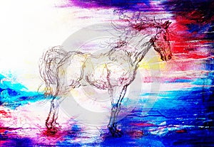 Drawing horse on old paper, original hand draw. Color effect.